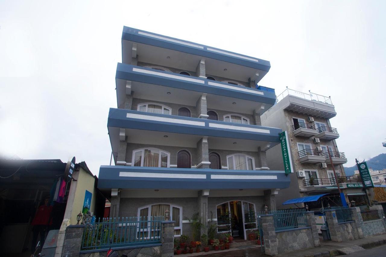 Hotel Bougainvillea 博卡拉 外观 照片